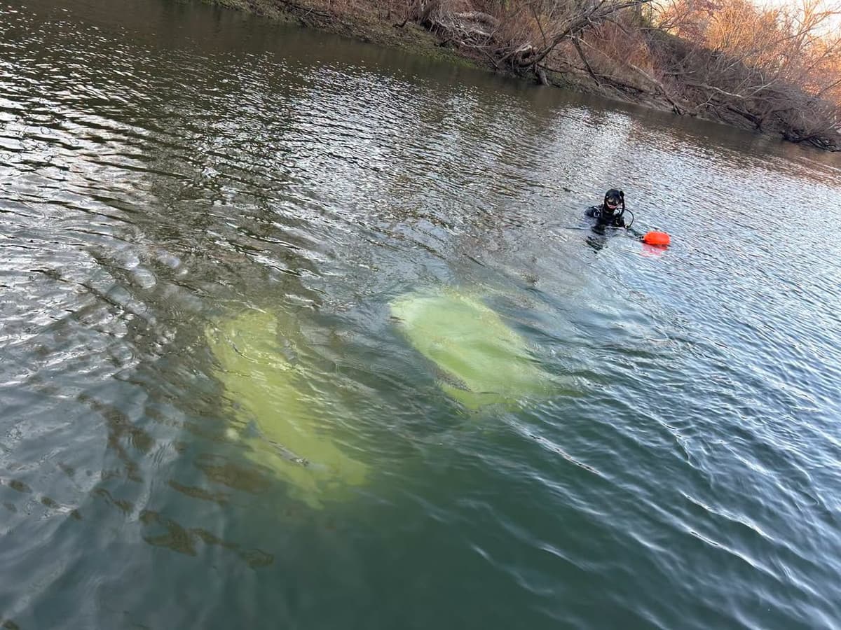 A public safety diver conducting a search near a submerged vehicle